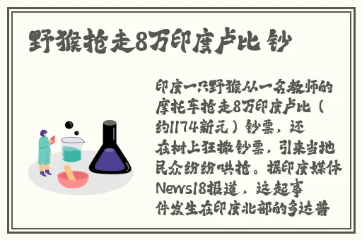 9幺1.031版本